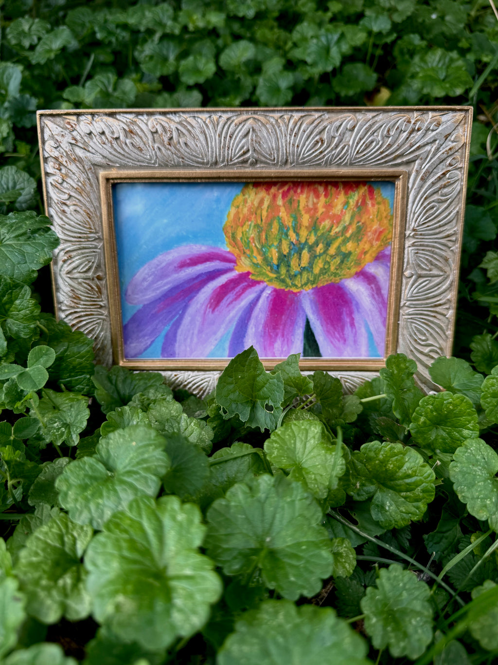 Framed coneflower oil pastel print displayed on wall – gallery art