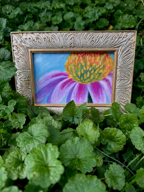 Framed coneflower oil pastel print displayed on wall – gallery art