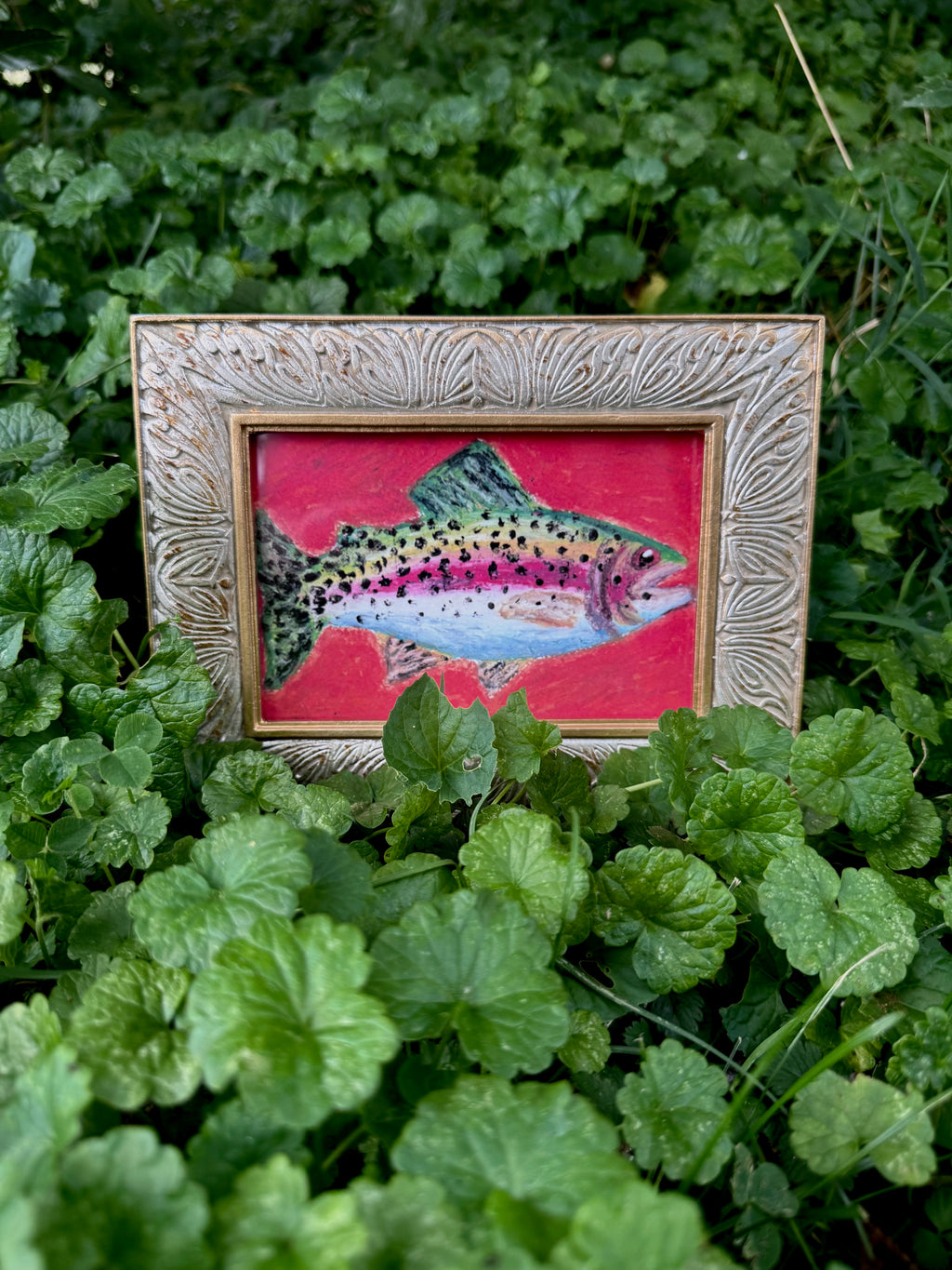 Framed rainbow trout oil pastel print displayed on wall – gallery art