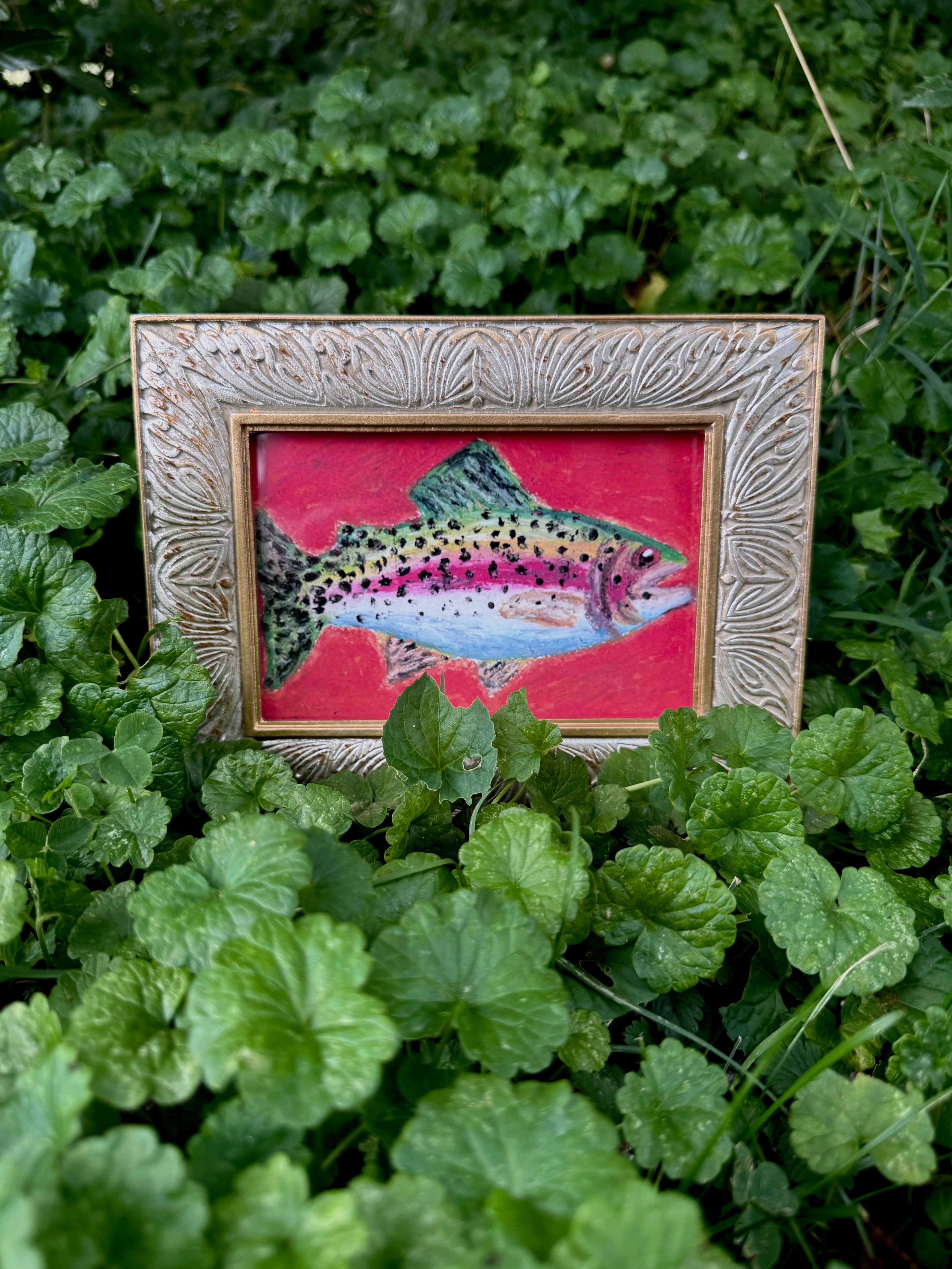 Framed rainbow trout oil pastel print displayed on wall – gallery art