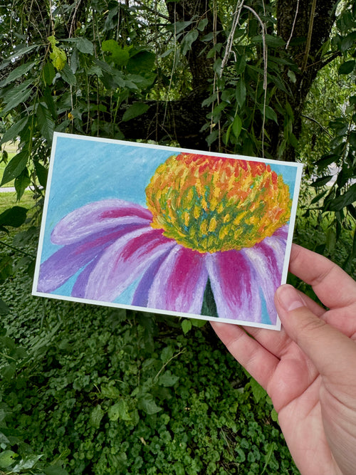 Coneflower Oil Pastel Print 4x6 – vibrant magenta petals on art paper